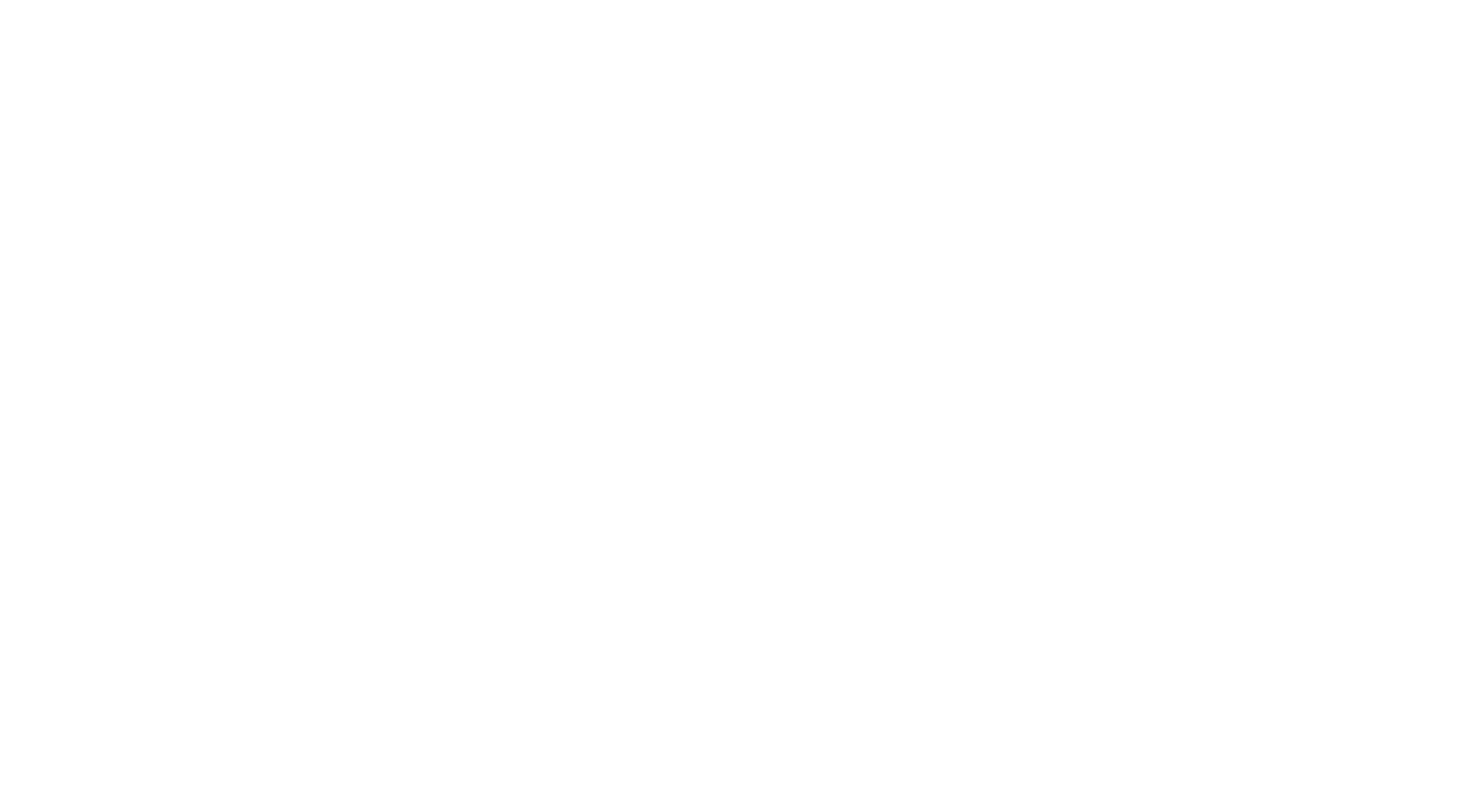 The Resource Alliance Foundation